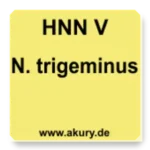 HNN V