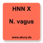 HNN X