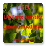LEB