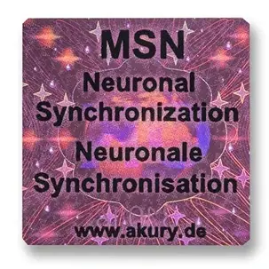 MSN
