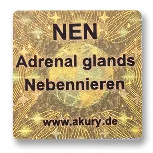 NEN