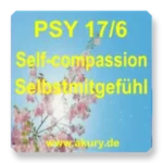 PSY 17/6
