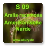 S 09