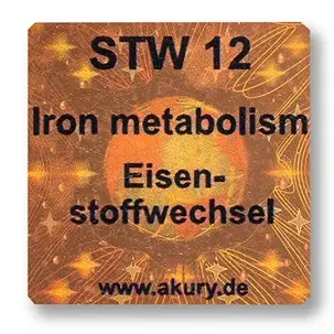 STW 12