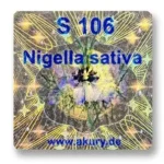 S 106
