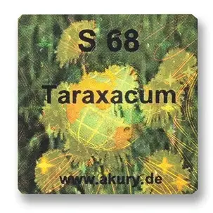 S 68