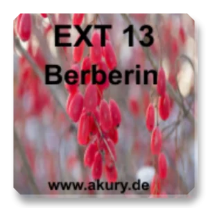 EXT 13 Berberine