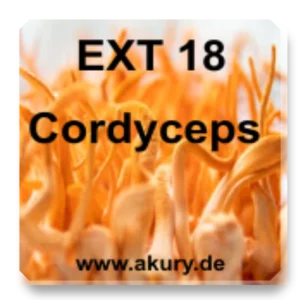 EXT 18 Cordyceps