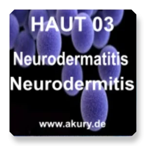 HAUT 03