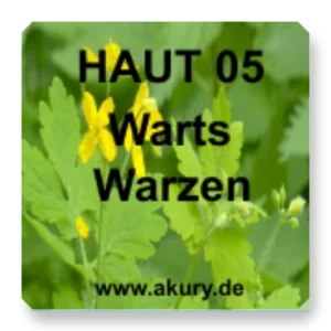 HAUT 05