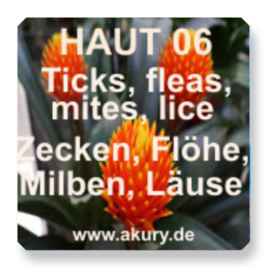 HAUT 06