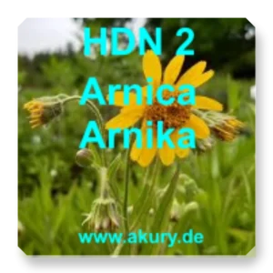 HDN 2 Arnica
