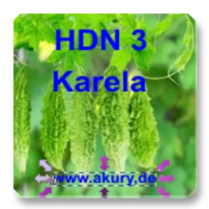 HDN 3 – Karela