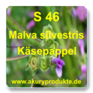 S046