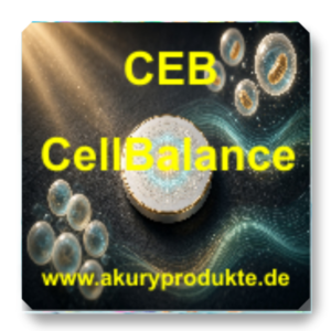 CEB-1